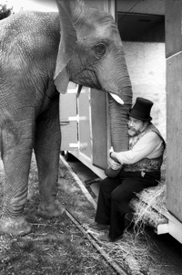 One
 Lucky Elephant