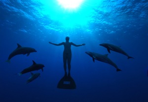 The Cove